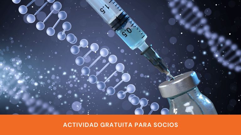 curso-28-10-26-ok